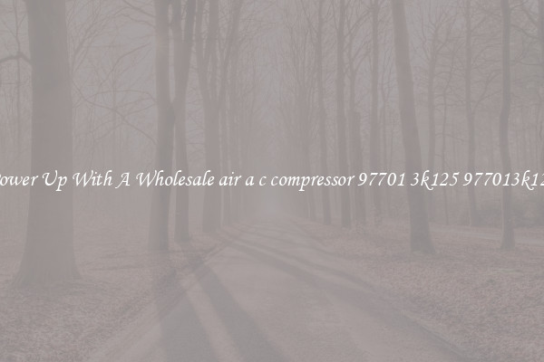 Power Up With A Wholesale air a c compressor 97701 3k125 977013k125