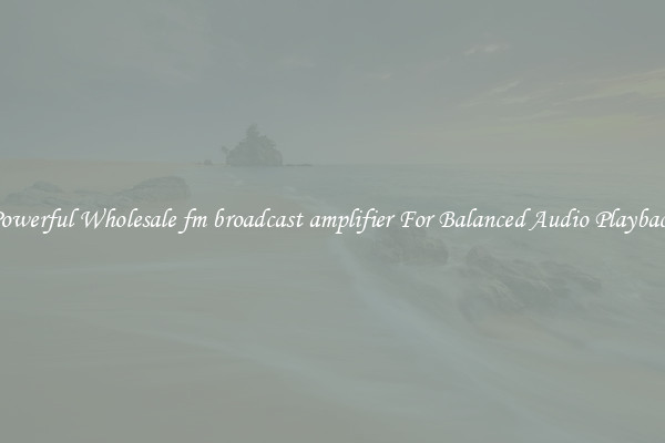 Powerful Wholesale fm broadcast amplifier For Balanced Audio Playback