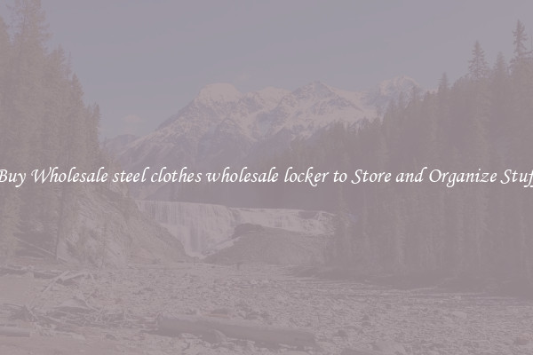 Buy Wholesale steel clothes wholesale locker to Store and Organize Stuff