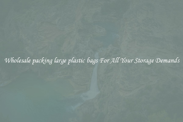 Wholesale packing large plastic bags For All Your Storage Demands