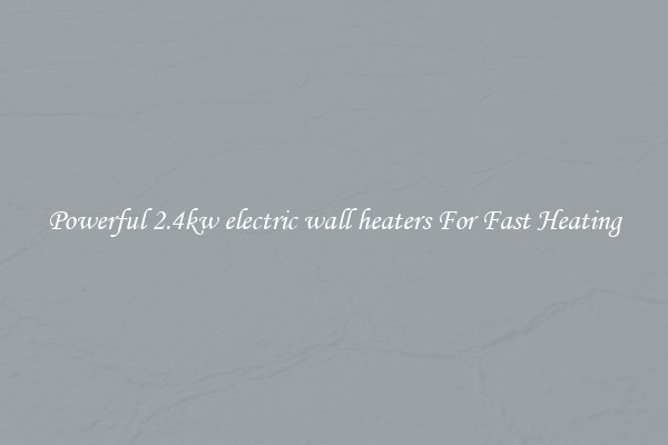 Powerful 2.4kw electric wall heaters For Fast Heating