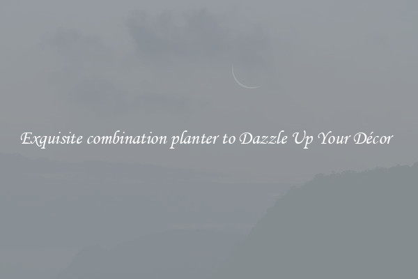 Exquisite combination planter to Dazzle Up Your Décor  