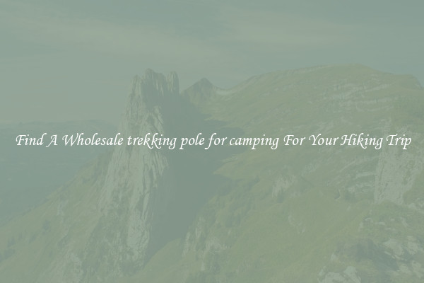Find A Wholesale trekking pole for camping For Your Hiking Trip