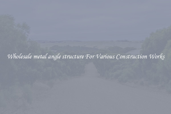 Wholesale metal angle structure For Various Construction Works