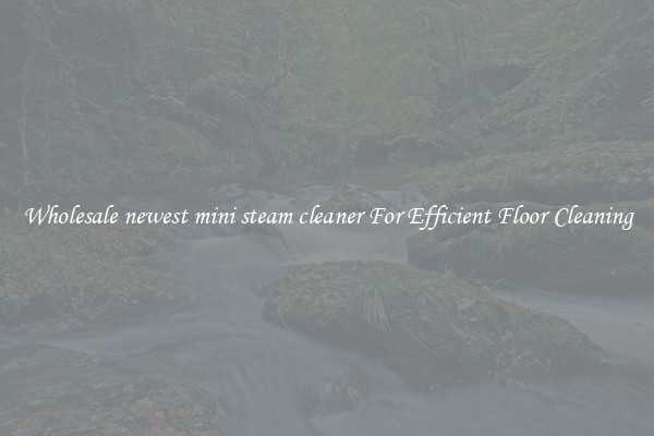 Wholesale newest mini steam cleaner For Efficient Floor Cleaning