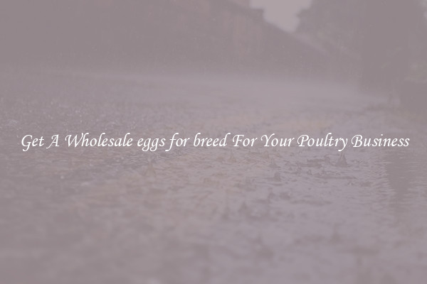 Get A Wholesale eggs for breed For Your Poultry Business