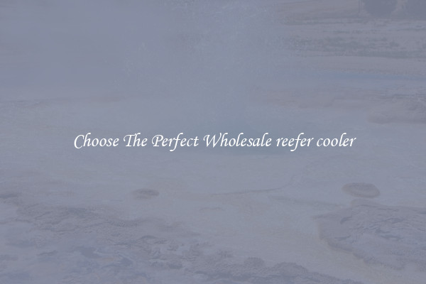 Choose The Perfect Wholesale reefer cooler