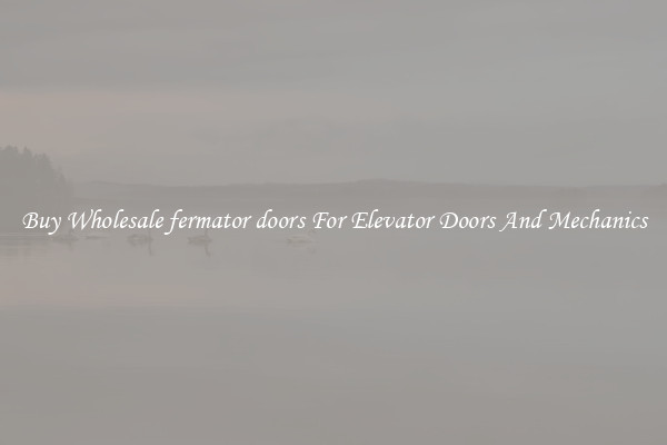 Buy Wholesale fermator doors For Elevator Doors And Mechanics