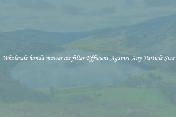 Wholesale honda mower air filter Efficient Against Any Particle Size