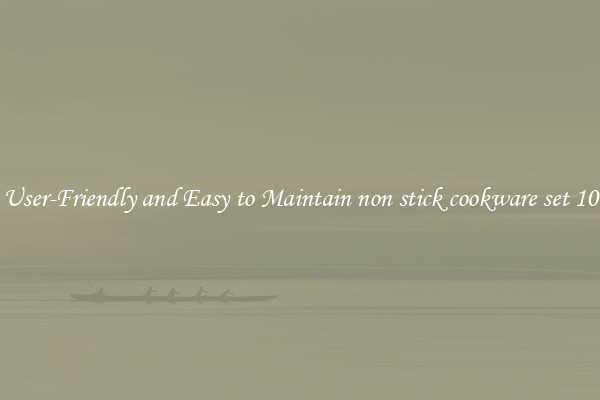 User-Friendly and Easy to Maintain non stick cookware set 10
