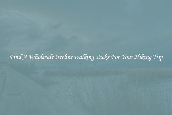Find A Wholesale treeline walking sticks For Your Hiking Trip