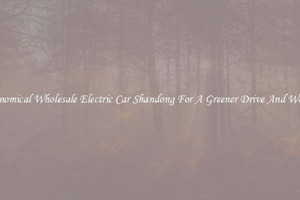 Economical Wholesale Electric Car Shandong For A Greener Drive And World!