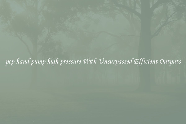 pcp hand pump high pressure With Unsurpassed Efficient Outputs