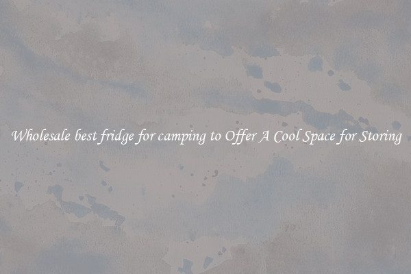 Wholesale best fridge for camping to Offer A Cool Space for Storing