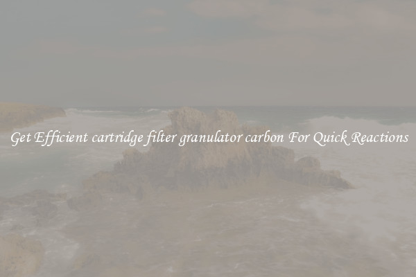 Get Efficient cartridge filter granulator carbon For Quick Reactions