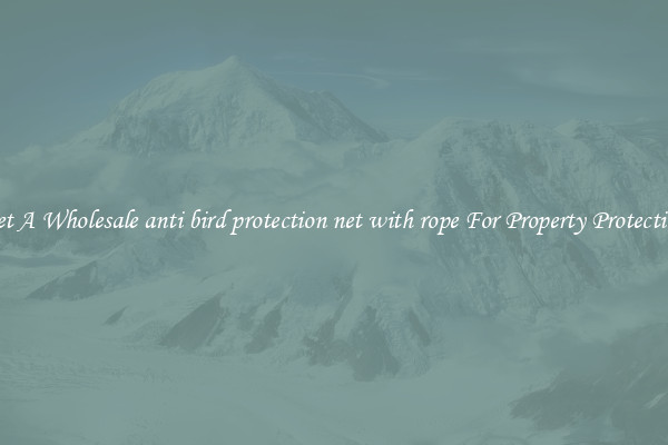 Get A Wholesale anti bird protection net with rope For Property Protection